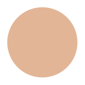 COOL NEUTRAL TONES 